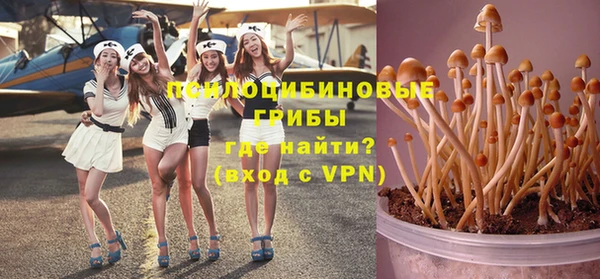 мяу мяу мука Гусев