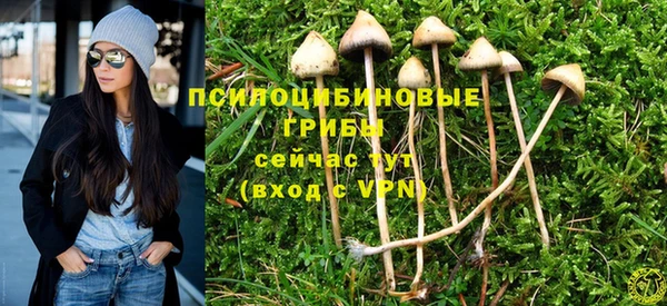 мяу мяу мука Гусев