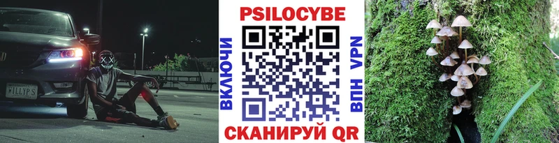 купить наркоту  Октябрьск  Псилоцибиновые грибы Psilocybine cubensis 